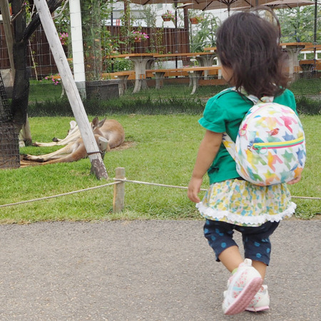 鳥柄のリュック