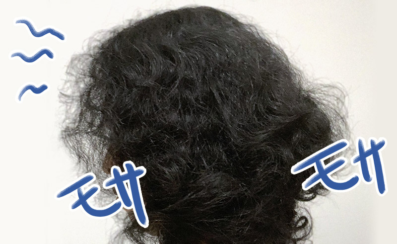 何もしていないモサモサの癖毛。小汚い。