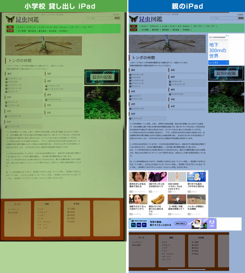 エロ広告の実態