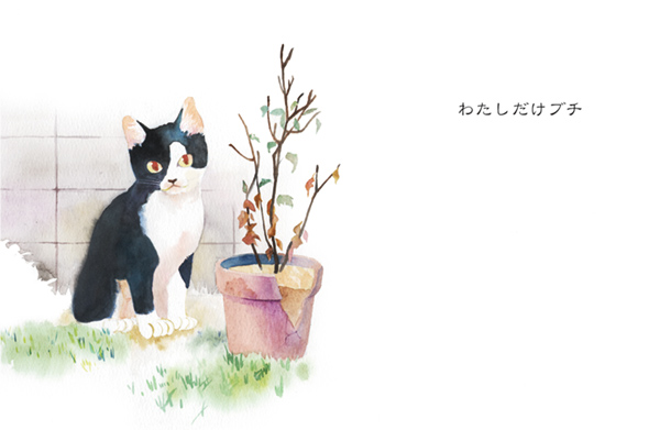 植木鉢と子猫