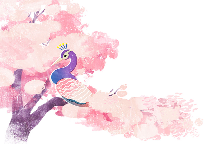 桜の妖精孔雀